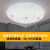 外壳圆形房间罩卧室圆形方形磁铁圆形简约现代吸顶灯圆形房间灯罩 玫瑰花35cm磁铁灯罩