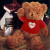 艾乐芙 复古泰迪熊公仔毛绒玩具抱熊布娃娃女生朋友抱枕生日情人节礼物 米字毛衣 60厘米