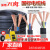 RVV电缆线国标电线软线2芯3芯1254610平方电缆线户 国标310+16平方1米价