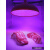 1248珠LED生鲜灯猪肉摊加亮超大冷鲜肉市场熟食水果专用灯 1515珠红蓝光