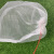 冰禹 BYlj-18 尼龙防虫网袋 水稻育种袋尼龙种子袋套种子袋 纱网袋 95*60cm 5个