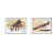 中外联合发行--同题材的外国邮票 2006-22古琴与钢琴（奥地利票）