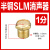 气动接头 电磁阀消声器 SLM铜平头消声器SLM-M5/01/02/03/04 半铜 1分