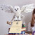 篝火之家海德薇猫头鹰哈利波特霍格沃兹系列积木拼装模型男孩玩具 守护神鹿 754颗粒