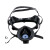 一护 防风式防毒护目套装 防异味防喷溅面具面罩+P-K-1（CA-2）防AN气体滤毒盒
