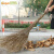 Supercloud 大扫把 竹扫把环卫马路物业学校工厂室外柏油道路地面清扫清洁大号笤帚扫帚 竹枝连体2.5斤款5把