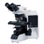 双目三目显微镜倒置体式生物显微镜奥林巴斯专业临床研究金相 正置BX53 