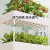 旭杉斯阳台多层种菜神器立体组合专用箱组合种植顶楼菜架草莓盆室内花架 .