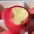 屈楚庄园山东烟台栖霞红富士应季新鲜孕妇水果青红苹果 富士 （85-90mm）4.5斤特大果