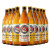 保拉纳（PAULANER 柏龙) 啤酒混合装 12.5度 500ml*10瓶 黄白组合装 德国进口