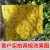海斯迪克 HKZ-73 双面粘虫板 大棚温室黏虫防虫 黄板20*30（10张）
