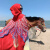 莎波龙川西西北旅游穿搭民族风披肩斗篷女云南西藏新疆青海草原旅行女装 单色大红