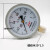红旗 仪表普通压力表Y-100水压1.6MPa气压真空负压表油压 单位：个 0-10MPA