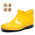 定制大码男士短筒雨鞋低帮雨靴防水胶鞋厨房工地洗车防滑耐磨适配 黄色晴雨鞋 36