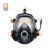 宝亚安全 RHZK6.8TD 空气呼吸器(配通讯面罩)