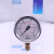 WIKA威卡EN837-1压力表213.53不锈钢耐震真空气体液体油压表 0-25MPA/BAR
