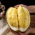 颜小荭 泰国金枕榴莲 新鲜带壳巴掌榴莲果 进口新鲜水果 7-8斤（1-2个装）家庭共享