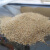 渗水杯过滤杯套装黏土沙子土壤渗水性实验四年级科学[科学猩] 小石子500g