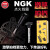 NGK 高压包 匹配原车配套 点火线圈 U5015 大众甲壳虫 2.0T （二代EA888）