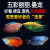 森悠（SARYOR）观赏鱼曼龙活体鱼血红丽丽鱼淡水鱼小型热带鱼 血红丽丽10条+2条防损