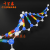 工品云超 DNA双螺旋结构模型组件 高中生物分子模型 教学仪器 实验器材 中号 