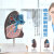 动力瓦特 病理肺解剖模型 人体内脏解剖教具 胸外科呼吸科医院学校模型标本 