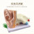 动力瓦特 耳模型 人耳朵解剖模型 内耳结构医学模型 耳鼻喉科教学展示模型 3倍耳朵解剖模型 