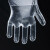 普舍（PUTSCHE）一次性PE手套 餐饮隔离防水透明加厚手套 100只