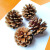 天然松果松塔圣诞装饰摆件幼儿园环创手工diy材料大松果球干花 4-6CM松果(30个)