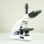 亚速旺（AS ONE）1-3445-03 可充电生物显微镜 CM-5003 三眼 40~1000× (1台)