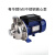 WB200-400/110/150/185-P不锈钢离心泵清洗冲洗设备医药水 WB200/075D-P 220V