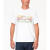Marmot马魔山男士T恤短袖圆领休闲运动条纹时尚舒适透气20329708 White 2XL