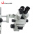  凤凰（Phenix）三目体视显微镜 万向支架三目 工业电子 手术练习 珠宝手机维修工业检测 XTL-165-WX 600948