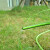安赛瑞 四分软管水管 30米4分水管软管水管园艺软管花园高压4分管塑料水管软管 大叶 企业可定制 530578