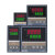 REX-C100-C400-C700-C900DA智能温控仪温控器恒温器 REX-C900 V DA短款 220V