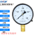 上海仪川仪表 径向负压真空压力表Y100 水压油压气压表 0-1.6MPa Y100 0-0.4MPa