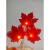 万观天LED枫叶仿真树叶串灯亮化工程电池盒 毛枫叶1号 1.5米10灯电池盒款