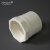 安赛瑞 PVC内丝直接（10个装）给水管件配件单内丝内螺内牙接头 白色 63mm 450061