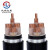 沈缆红星 电缆线YJV22-0.6/1kV-3*4平方3芯国标铠装铜芯电力电缆 硬线 1米