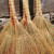卫洋 WY-916 清洁植物扫把 手工扫帚 物业学校工厂单位环卫笤帚 精加工加厚脱壳高粱小扫把一个装