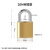 稳斯坦 铜锁黄铜挂锁 20mm短梁通开 箱锁柜子锁小锁头电力表箱锁小铜锁  WJL98