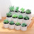 田园小型微观仿真多肉植物盆景塑料花创意摆件客厅商用绿植摆件 JH5695