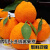 丑橘桔子正宗四川 黄果柑新鲜水果精品大果整箱桔子当季水果 5斤带箱（净重4.5） 中果65-75mm