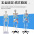 45CM 85cm人体骨骼模型 医学标准骨骼标本骷髅骨架教学模型 美术 F款悬挂式85公分带椎间盘及着色