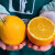 【顺丰直达】礼盒装雷波脐橙甜橙橙子大果脐橙新鲜水果送礼应季 礼盒装 7斤 -