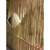 天颛豆角架杆竹子2米3米长细竹竿棍室内装修户外庭院装饰杆隔断围栏竹 直径1.0厘米*2米长 中等