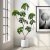 雅致仿真绿植鸭脚木高档花卉客厅装饰 1.2米+白色水泥盆