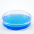 海斯迪克 HKQS-150 加厚玻璃培养皿高硼硅细胞培养皿透明平皿 150mm(10个)