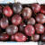 辰实广西百香果新鲜 大果紫红西番莲水果 奶茶店用 3斤