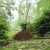 竹扫把农村老式竹丝扫帚笤帚户外庭院环卫通用大扫把扫院子 布扎竹丝